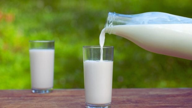 Leche recetas