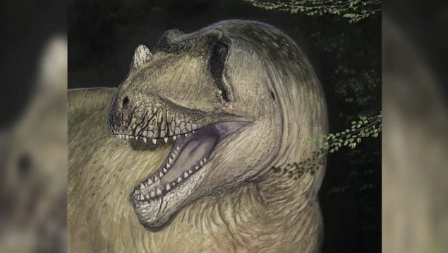 dinosaurios, descubrimientos