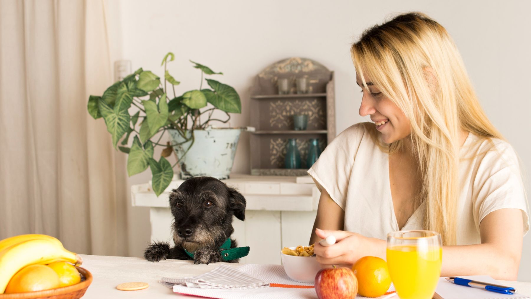 Un perro observando frutas. Foto: Freepik