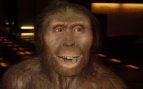 Un nuevo descubrimiento científico indica que los primeros homínidos eran veganos, hallazgo científico sobre los australopithecus, descubrimiento científico australopitecos vegetarianos, evidencias científicas de que los primeros homínidos eran veganos.