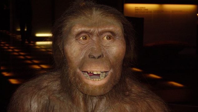 Un nuevo descubrimiento científico indica que los primeros homínidos eran veganos, hallazgo científico sobre los australopithecus, descubrimiento científico australopitecos vegetarianos, evidencias científicas de que los primeros homínidos eran veganos.