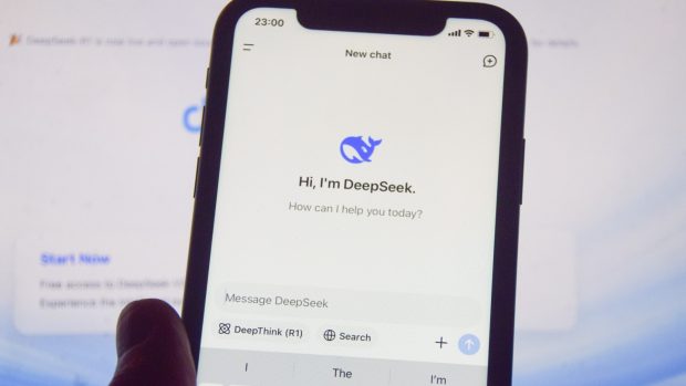 DeepSeek