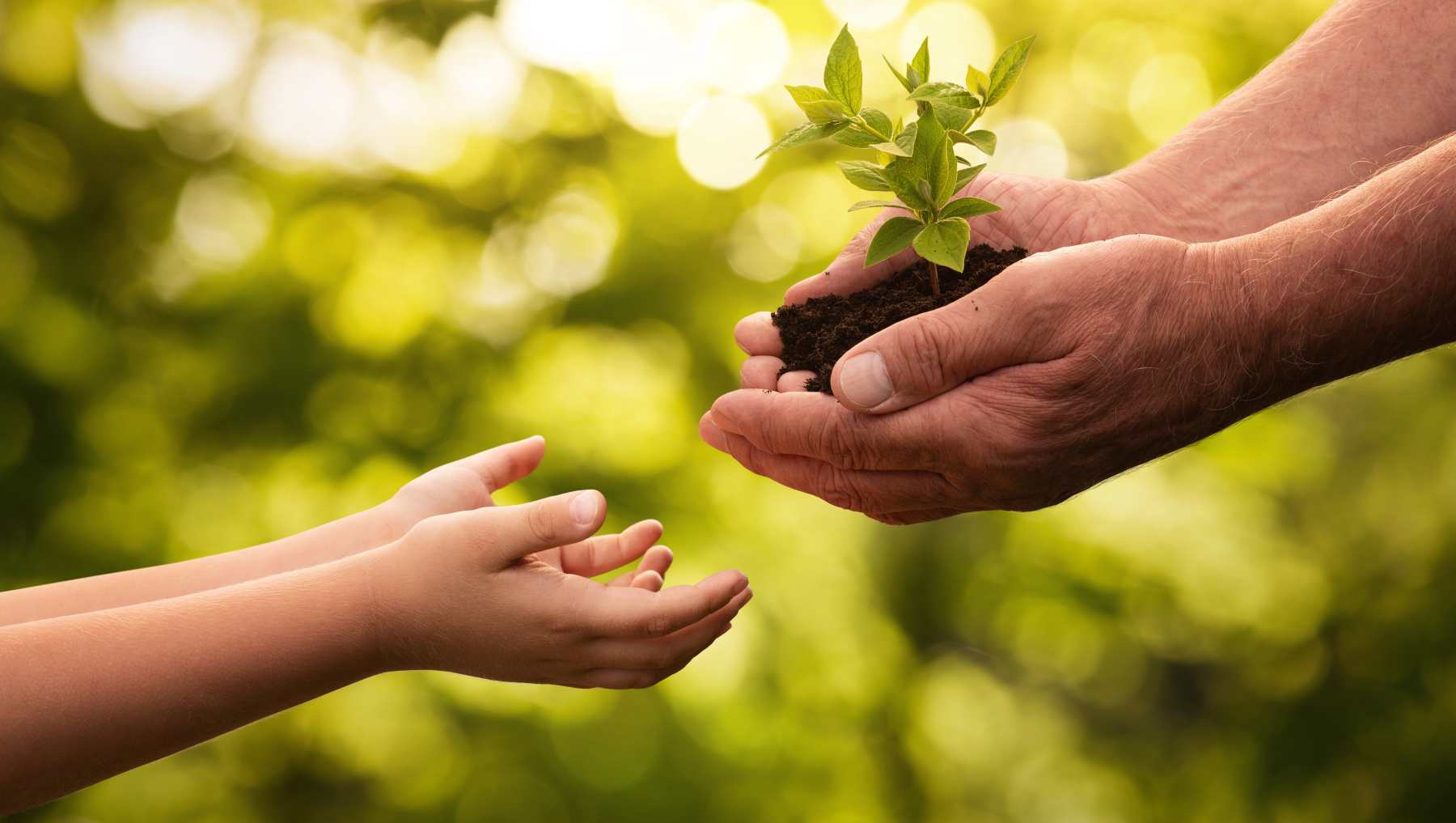 Educación ambiental en España.