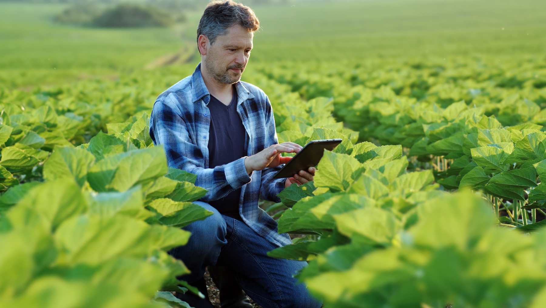 Tecnologías emergentes en la agricultura.