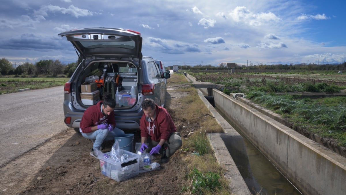 Investigadores del IDAEA-CSIC toman muestras de agua en canales de riego de la zona afectada por la DANA de Valencia. (Foto:  Alejandro Muñoz – IDAEA-CSIC | Ayuda CSIC-FBBVA de Comunicación Científica 2023)