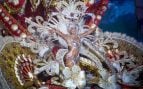 carnaval de tenerife 2025