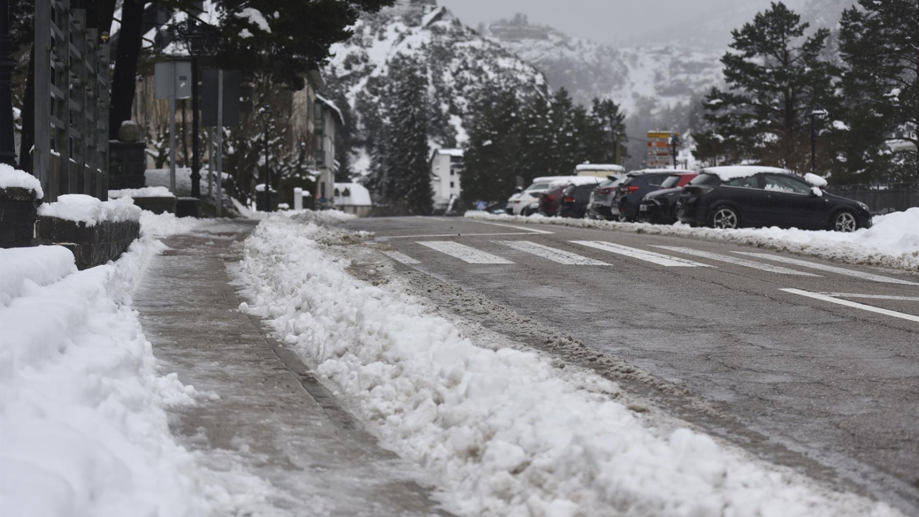 Varios coches cubiertos de nieve.