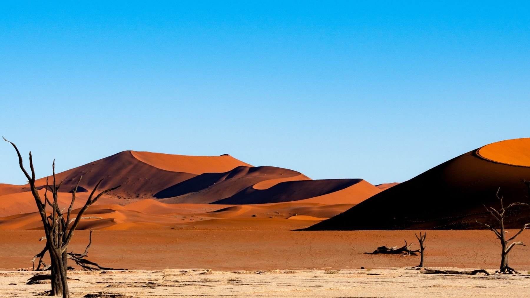 Desierto. Foto: Freepik