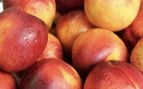 nectarinas, frutas, trucos