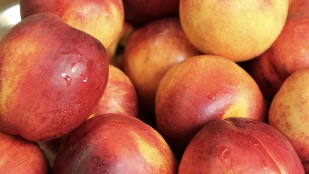 nectarinas, frutas, trucos