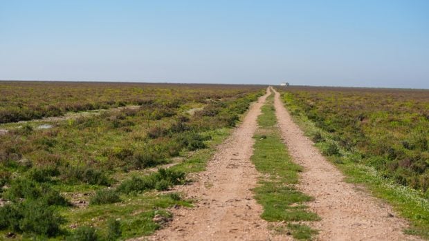 Finca Tierras bajas en Doñana