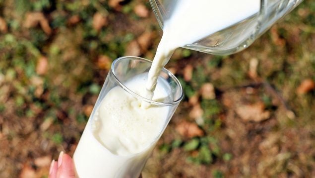 Aviso de la OCU sobre las bebidas vegetales, leche de avena, leche de soja, leche de almendra, leche de arroz, las bebidas vegetales no son leche según la ocu, beneficios de los lácteos, peligros de las leches vegetales, bebida vegetal.