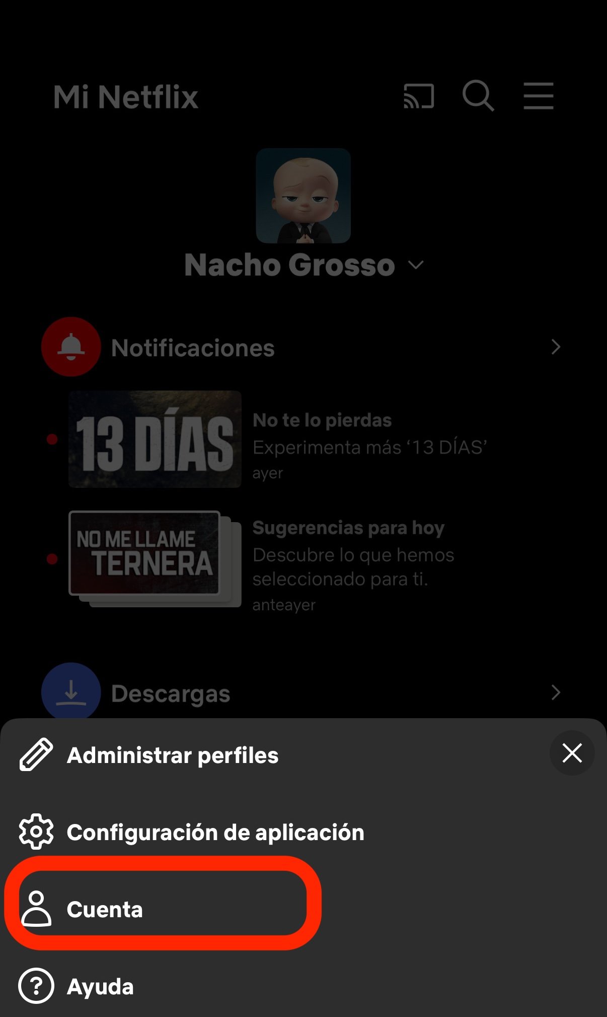 cerrar sesión Netflix