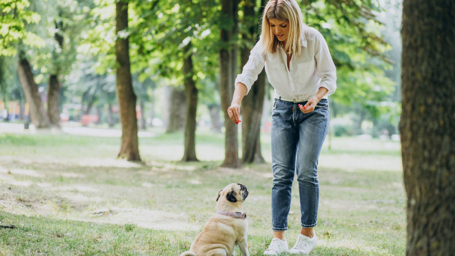 Un perro y su dueña. Foto: Freepik