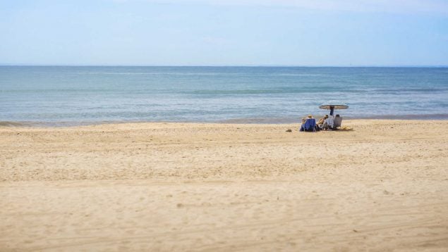 Playa, animal, Andalucía, Huelva