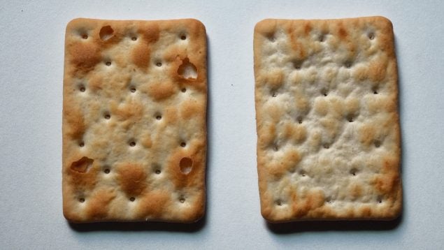 El análisis de la OCU de las galletas de supermercado, cómo elegir las mejores galletas de supermercado, elegir galletas de supermercado, cuáles son las galletas de supermercado más saludables, galletas sanas según la OCU, crítica de la OCU a las galletas.