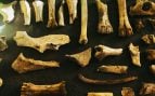 Los enigmas de los restos humanos más antiguos hallados en España    