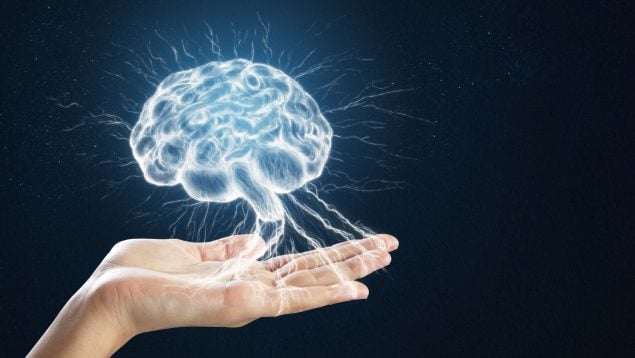 Un hallazgo histórico cambia todo lo que sabíamos del cerebro: «Es como intentar entender…»