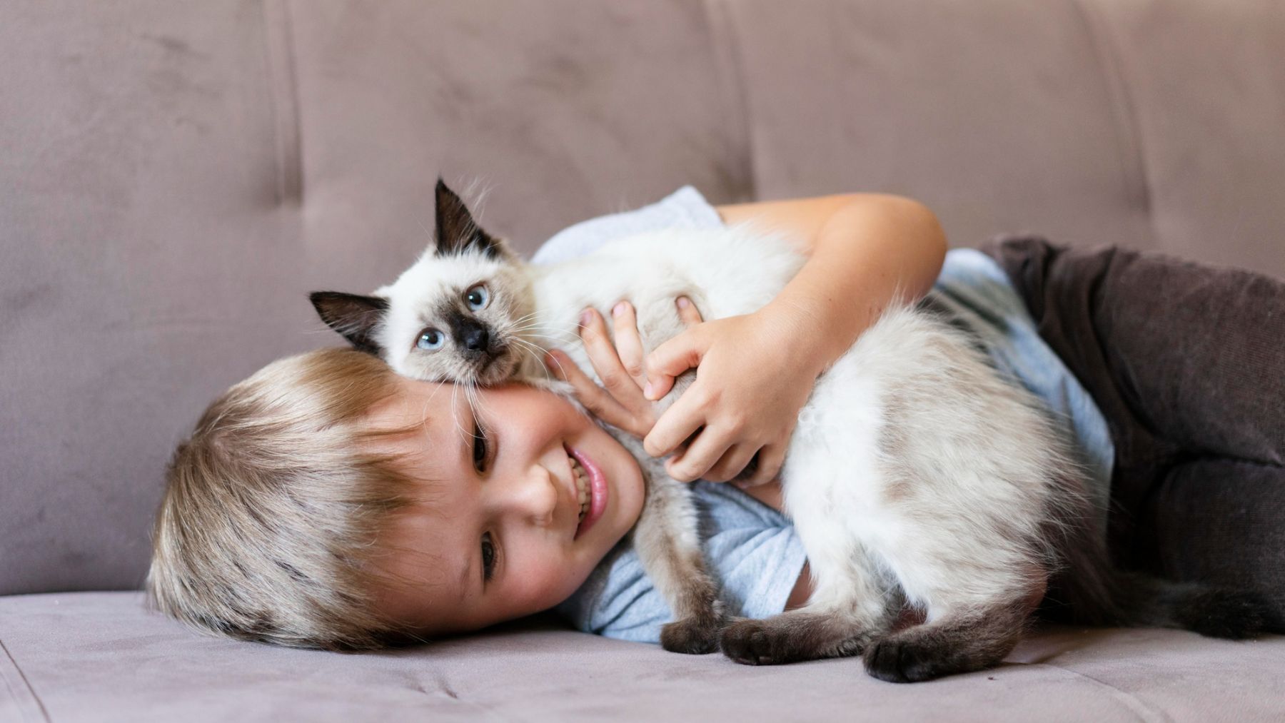 Un niño abrazando a un gato. Foto: Freepik