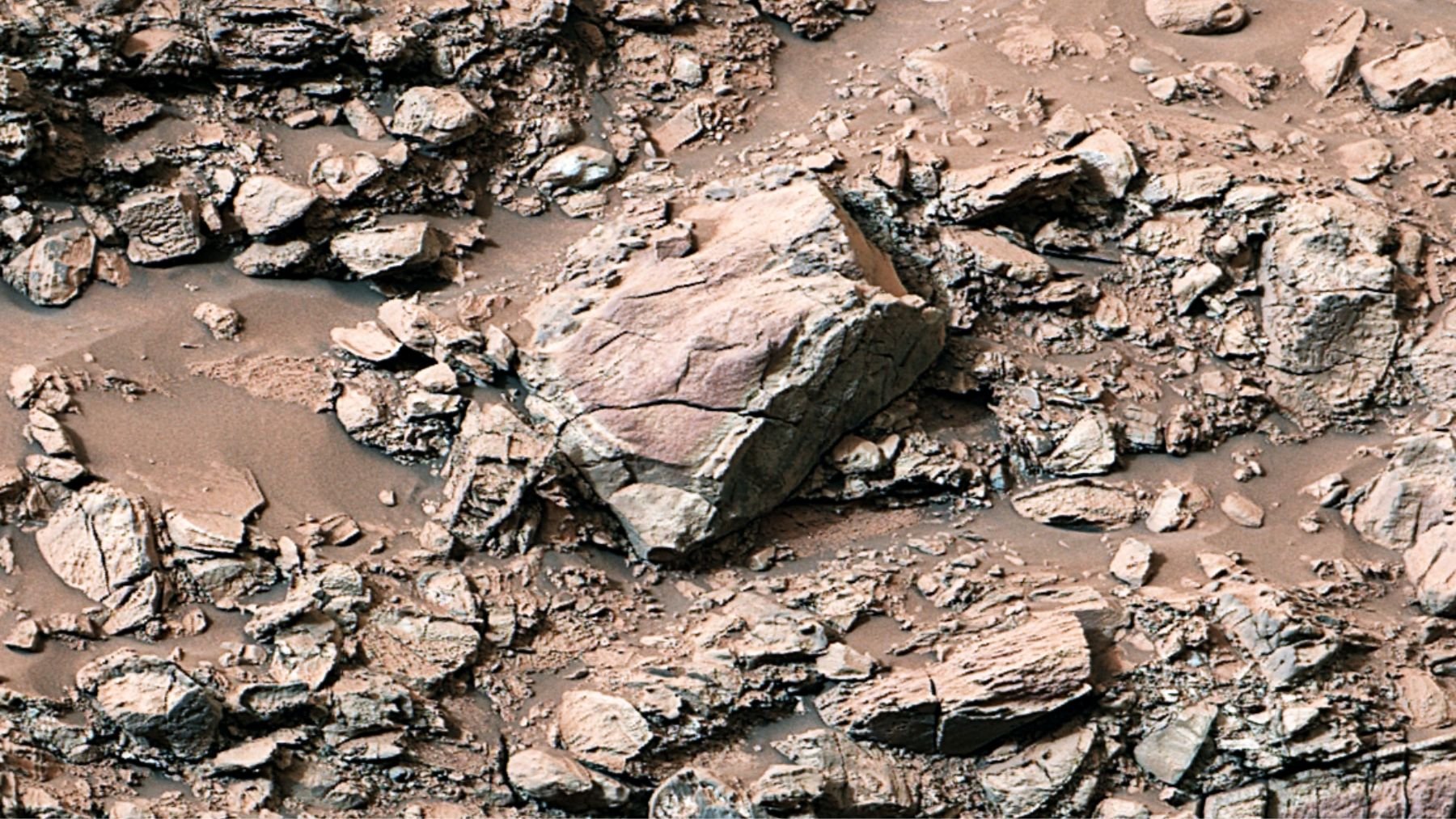 Canal de Gediz Vallis en Marte. Foto: NASA/JPL-Caltech/MSSS