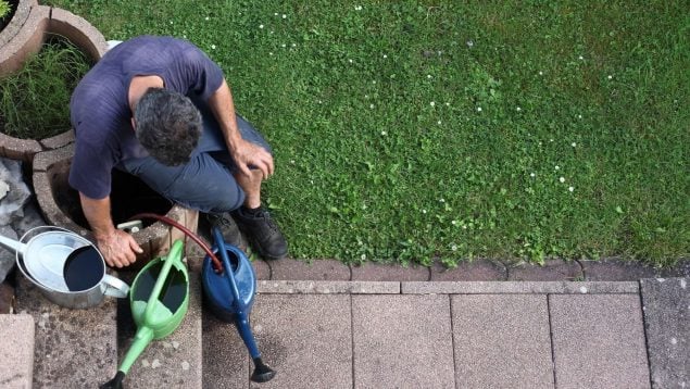 trucos de jardinería, soy jardinero y estos son los errores cuidando plantas, consejos de los jardineros para cuidar las plantas de casa, los errores más comunes cuidando las plantas de casa.