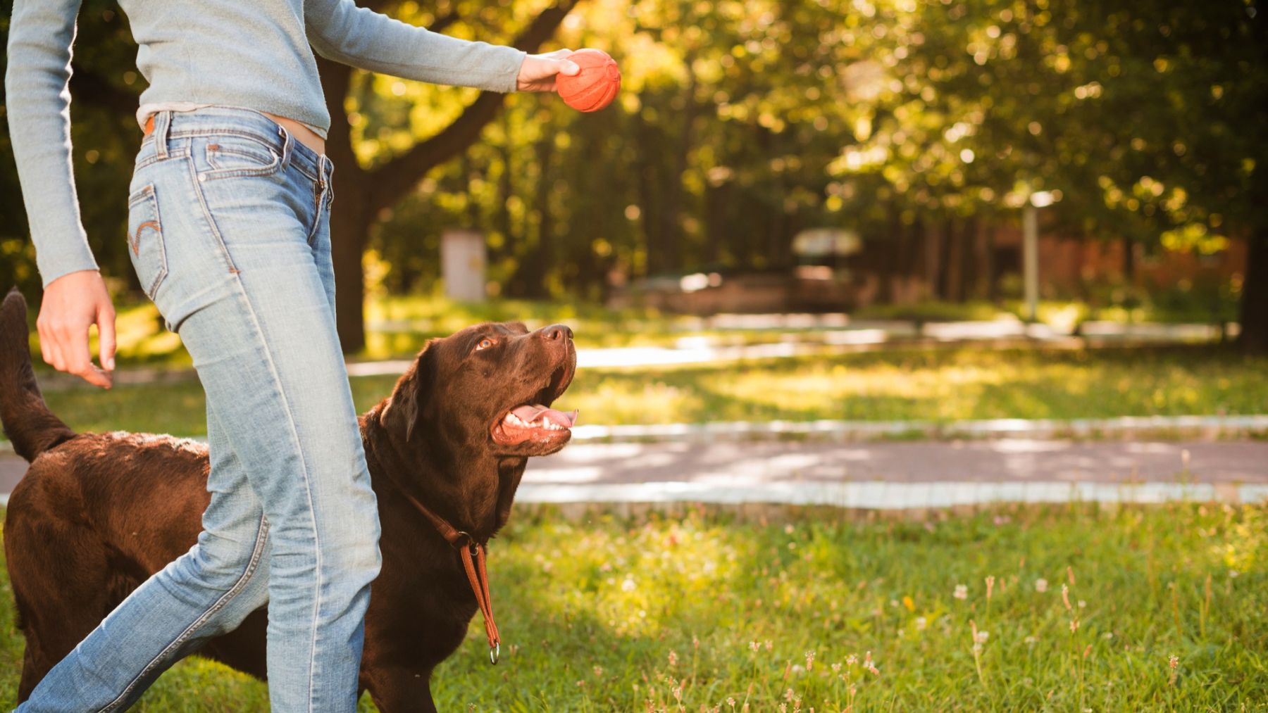 Un perro con su dueña. Foto: Freepik