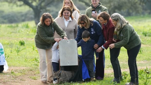 Suelta de lince ibérico en Andalucía