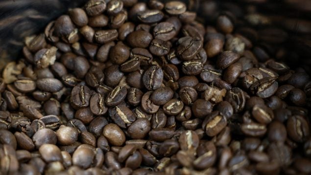 Una cosecha de café de variedad arábica en Tailandia. Valeria Mongelli/Getty Images.