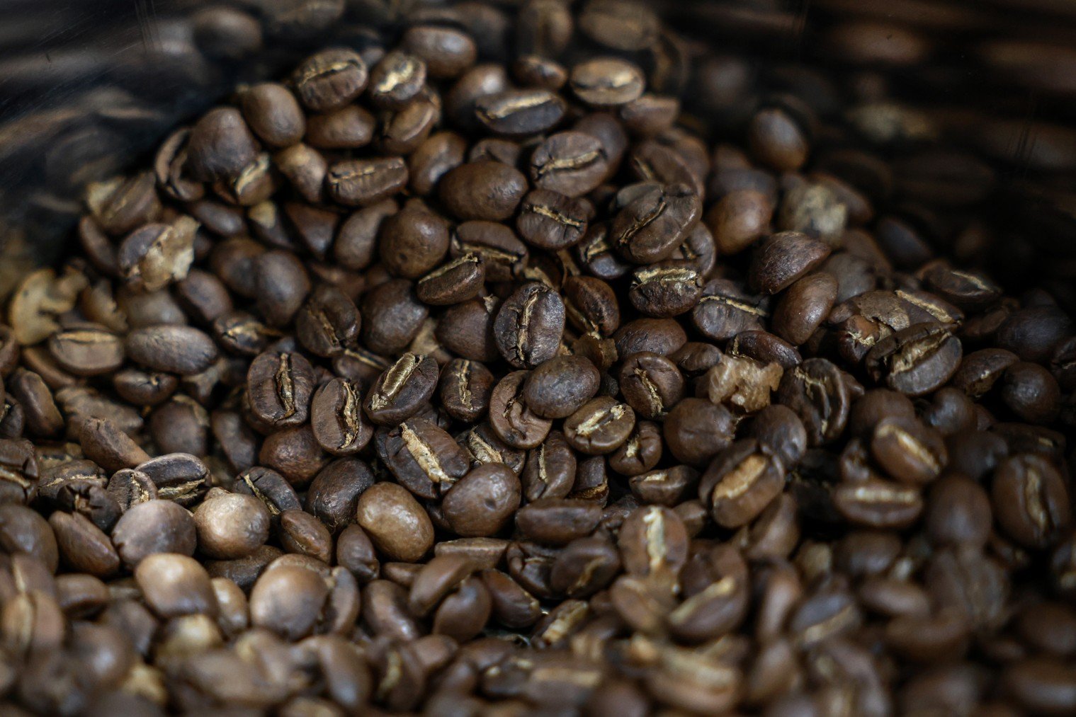 Una cosecha de café de variedad arábica en Tailandia. Valeria Mongelli/Getty Images.