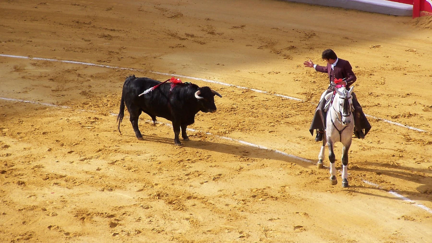 Corrida de toros.