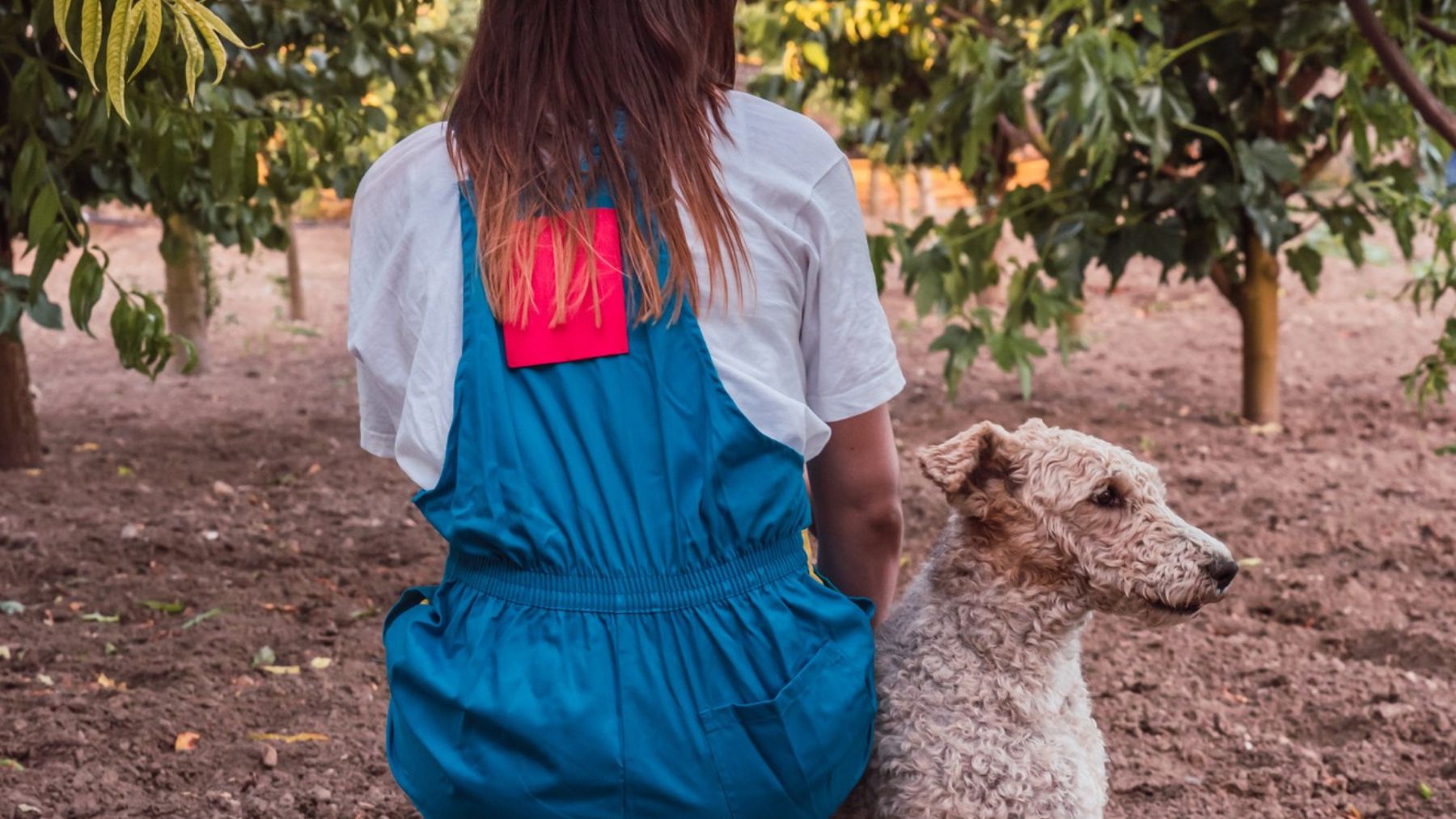 Un perro dándole la espalda a su dueña. Foto: Freepik