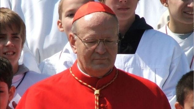 Petér Erdö, papa francisco, cardenal, pontífice