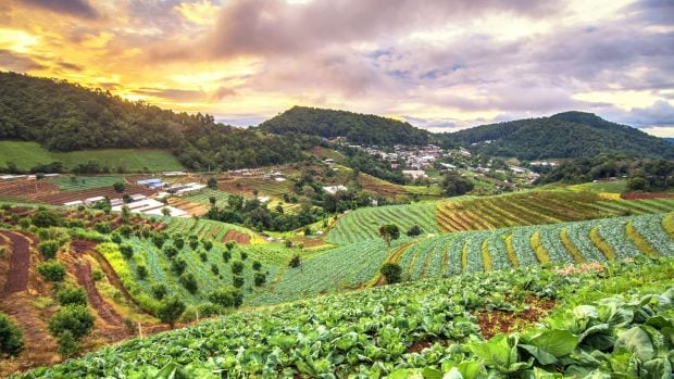 Agricultura ecológica europea