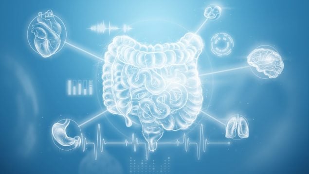 Probióticos Parkinson y Alzheimer