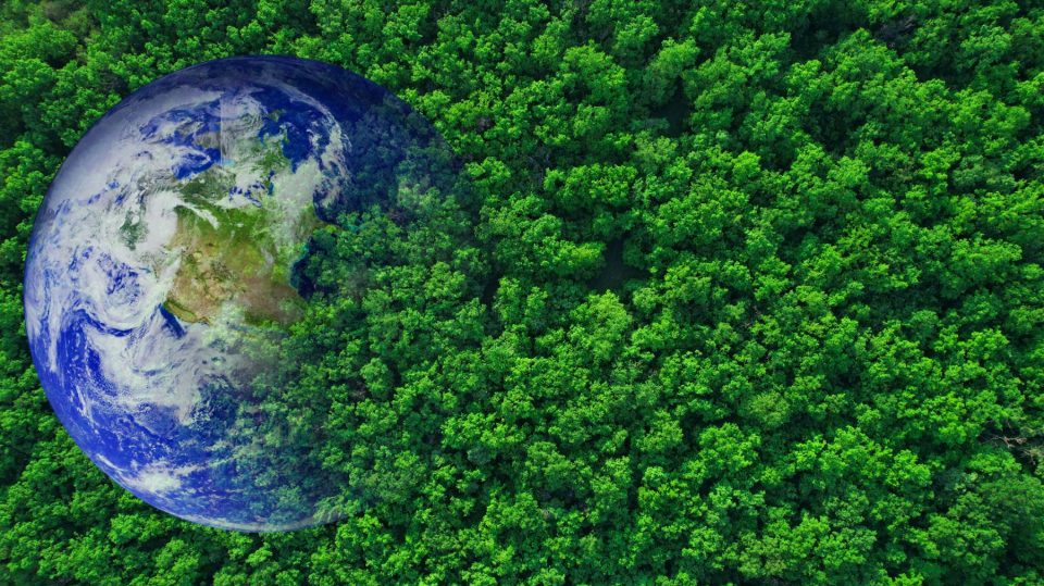 La COP16 consigue 200.000 millones al año para proteger la biodiversidad