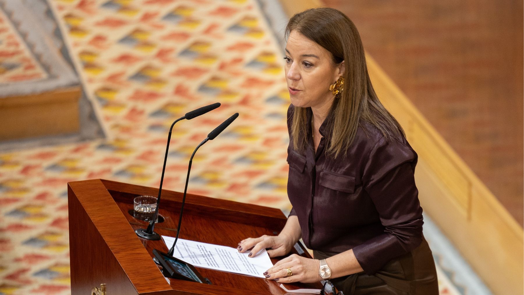 La diputada de VOX en la Asamblea de Madrid, Ana María Cuartero. (Foto: EP)