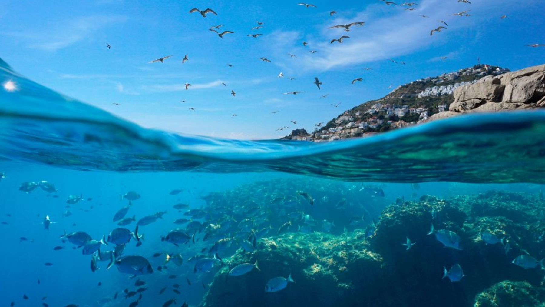 Mar Mediterráneo. Foto: iStock