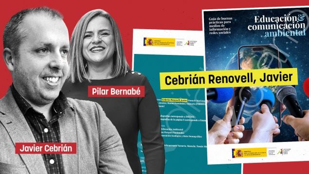 delegada Gobierno, Pilar Bernabé, DANA