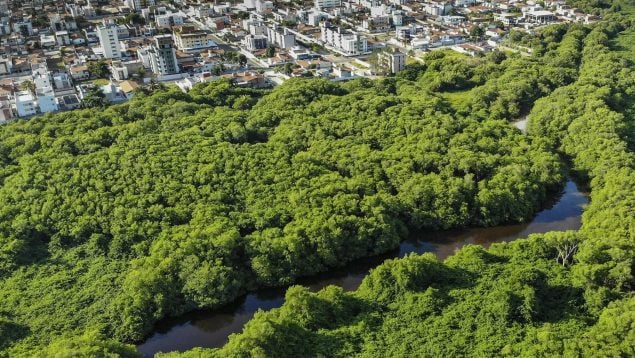 Fabricó el ser humano, ciudad, Brasil, Naturaleza, árboles