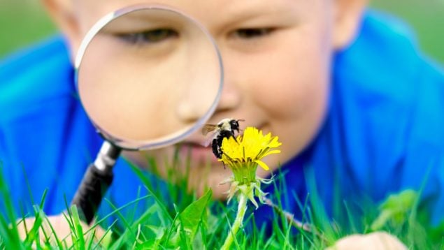 La inesperada mezcla con la que puedes pulverizar tu jardín para acabar con estos bichos: así lo hace la gente inteligente