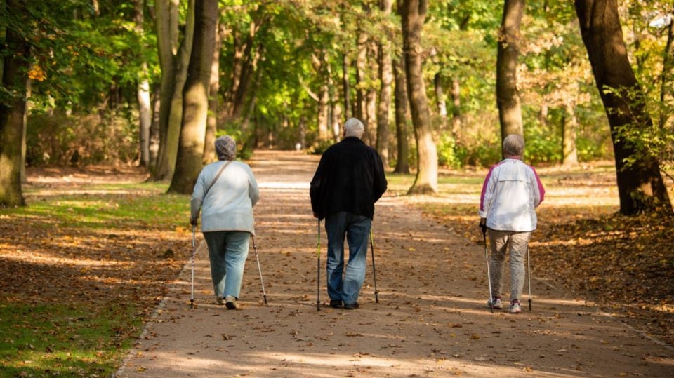 Investigadores españoles respaldan que el ejercicio aeróbico reduce los marcadores del alzheimer