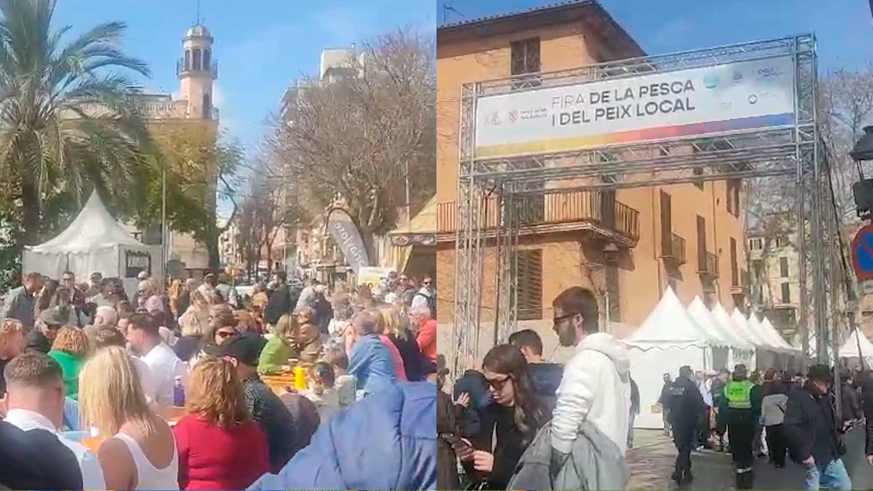 Miles de palmesanos se echan a la calle para celebrar el Día de Baleares