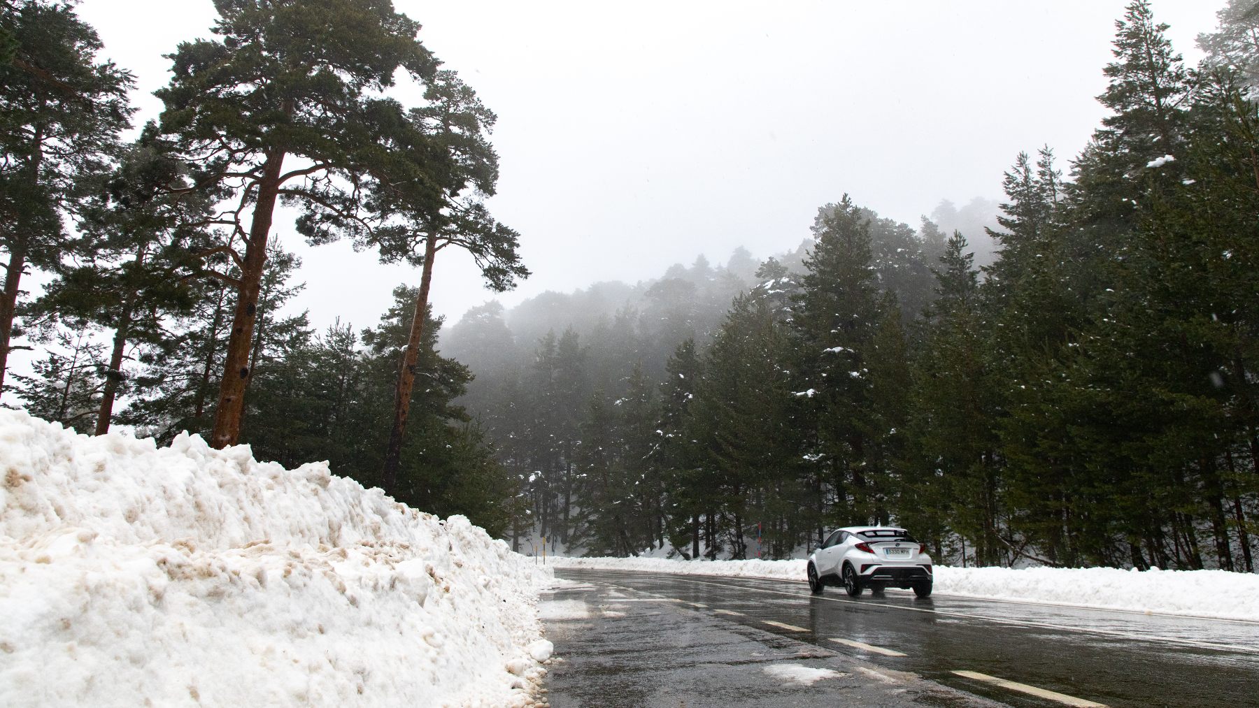 Nevadas. (EP)