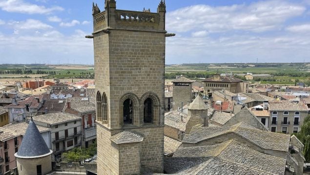 Olite, Pueblo más bonito de Navarra, Castillo de Olite