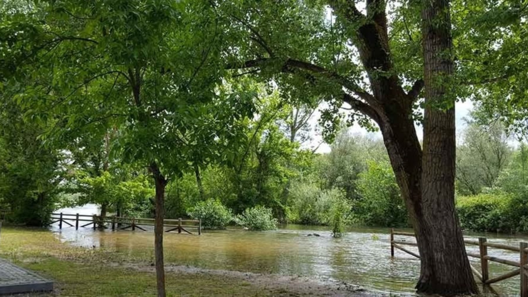 Desalojadas 50 viviendas en Escalona (Toledo) por la crecida del río Alberche