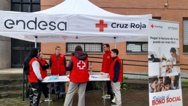 endesa cruz roja