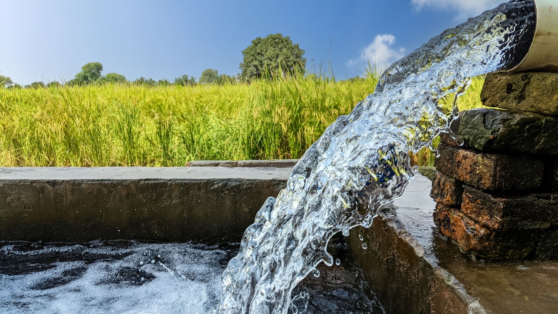 Desperdicio agua