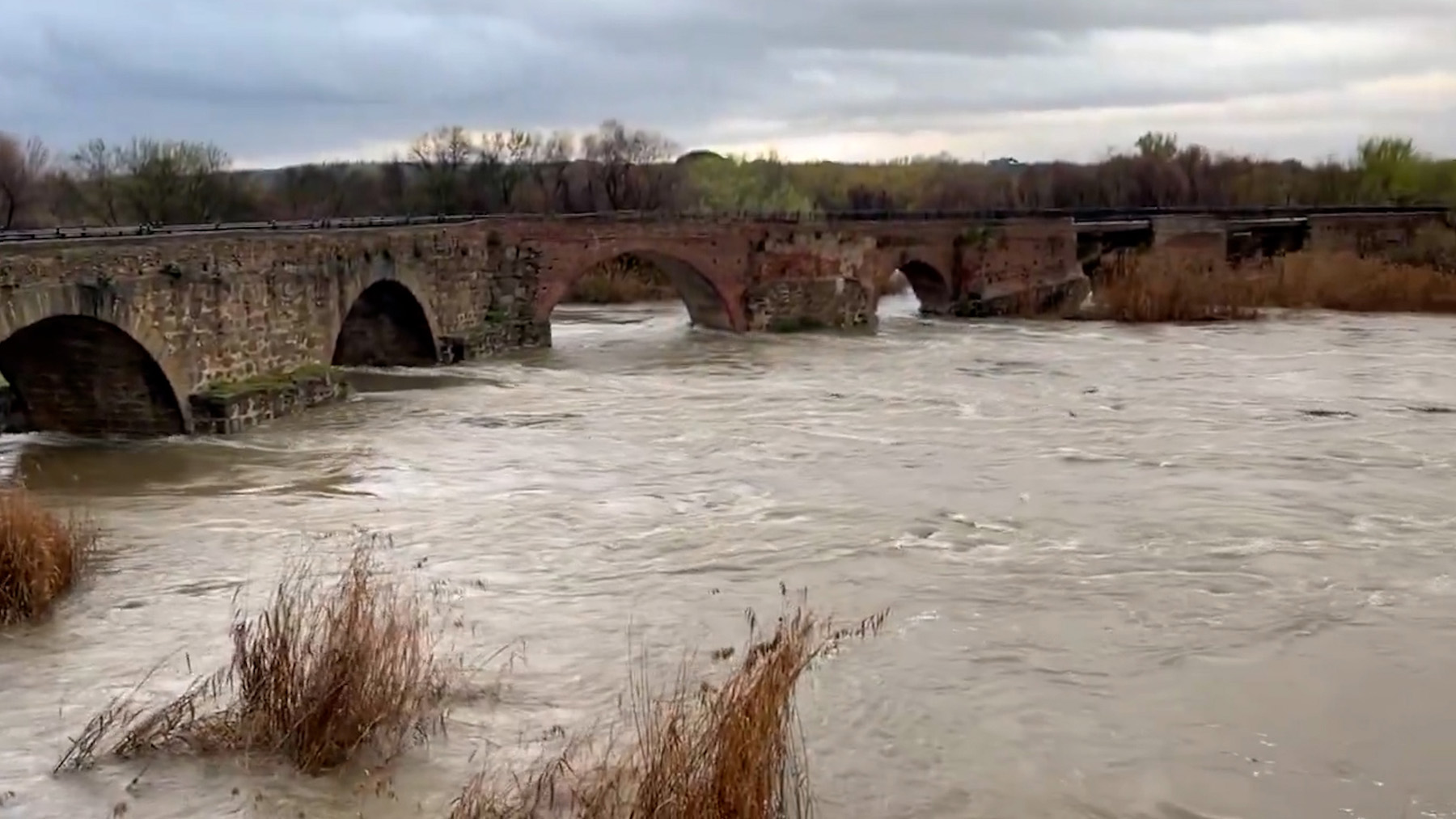 Talavera de la Reina en alerta por la crecida del Tajo: listo un plan de evacuación por si llega a las casas