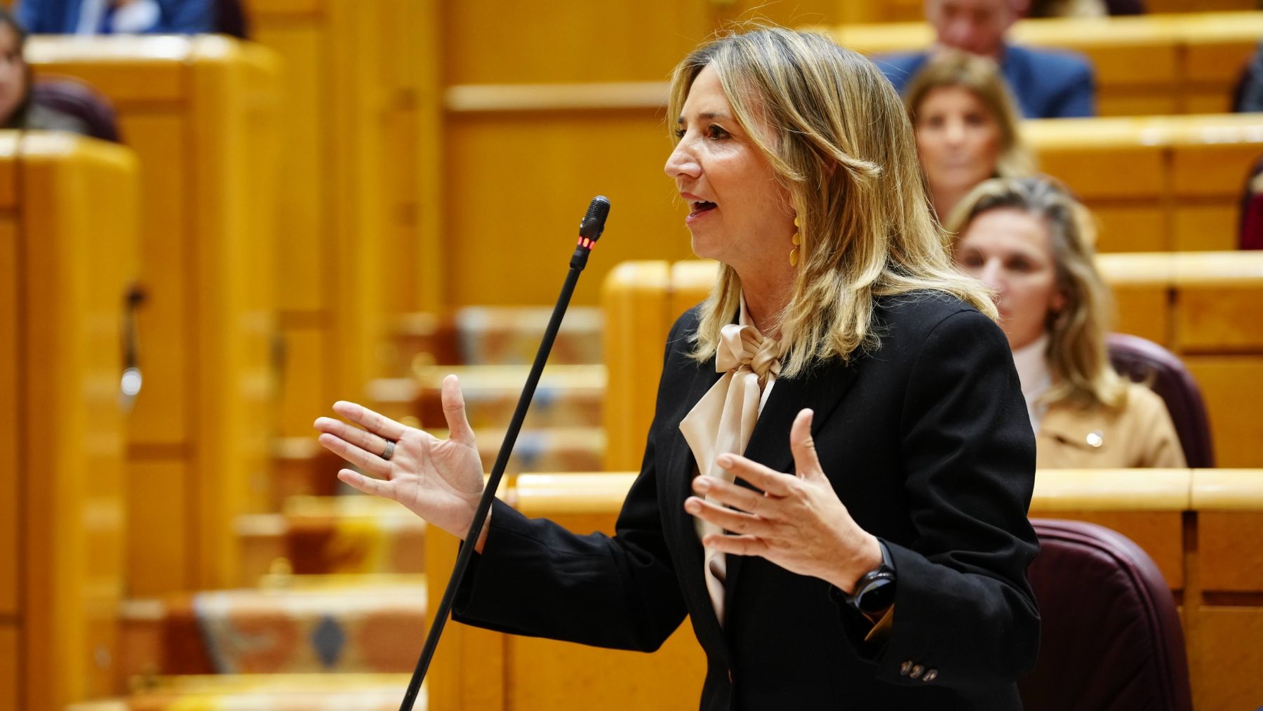 Alicia García, portavoz del PP en el Senado. (PP)