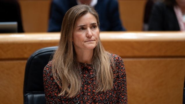 Endesa, Bogas, apagón, aagesen, gobierno, sur de españa, pérdida de generación